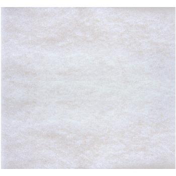 Abatement - H2001 - Poly Pad Filter 1In 50cs/12cs skid - AFD Filters & Accessories - WS Supply Store